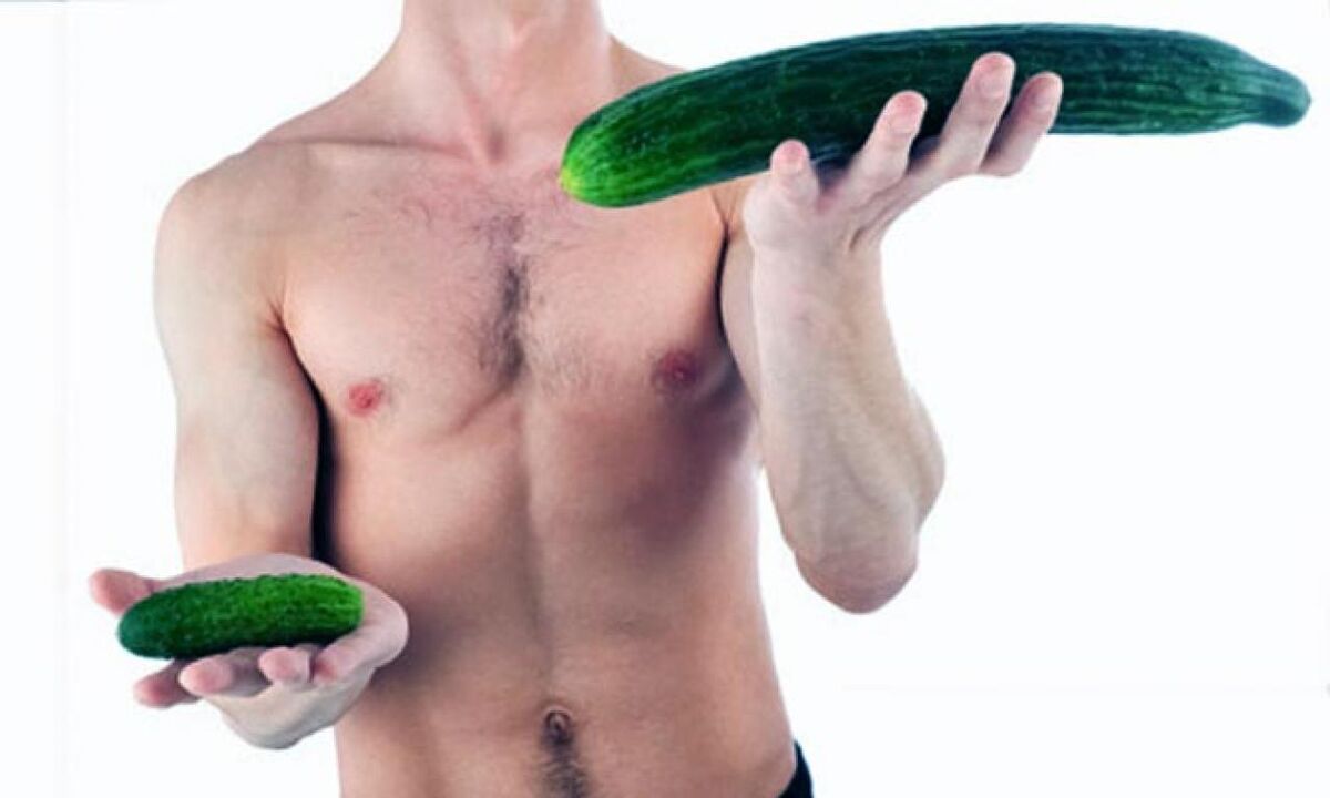 grote en kleine lulgrootte op het voorbeeld van komkommers